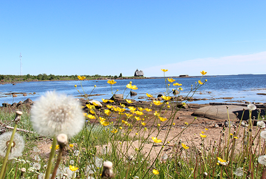 Rabocheostrovsk. Film setting for the film ¨Island¨ by Pavel Lungin