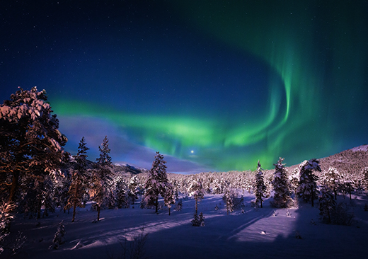Royal Aurora Hunt