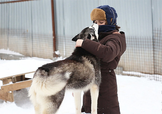 Dog-sledding in the Moscow countryside