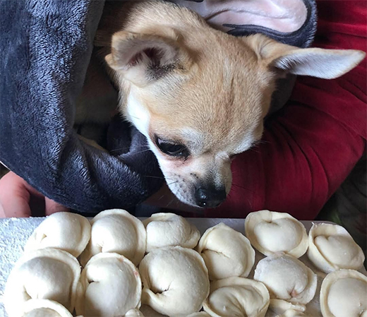 Pelmeni