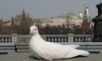 Moscow epithets Moscow epithets